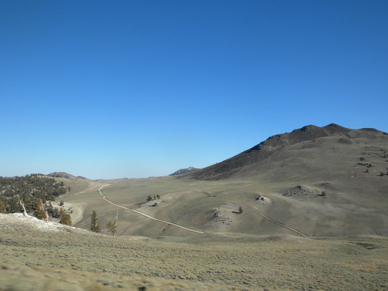 whitemountain92010 082.jpg